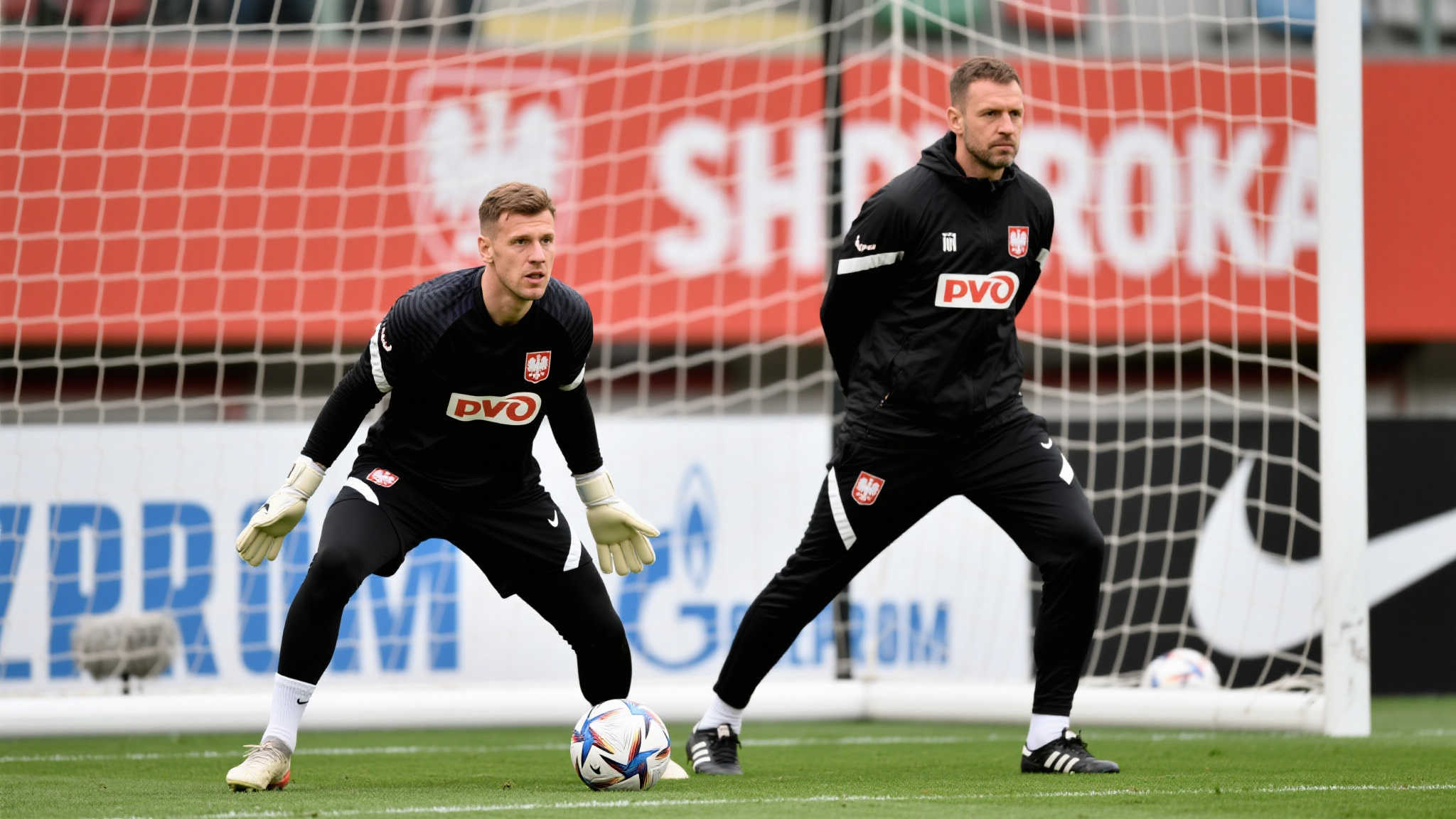 多元化的发 多元化的发