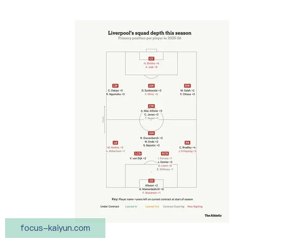 埃弗顿俱乐部冬窗引援布局与保级形势最新动态解析及球迷关注焦点