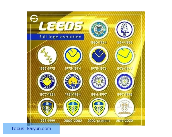 百年荣耀与重生之路：以利兹联俱乐部的坚持与野心英格兰足球传奇故事