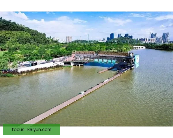 开云体育APP全方位解析：多元化功能引领体育娱乐新潮流